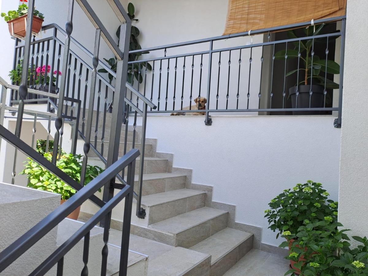 Sunshine Apartment Sovlje Tribalj Eksteriør billede